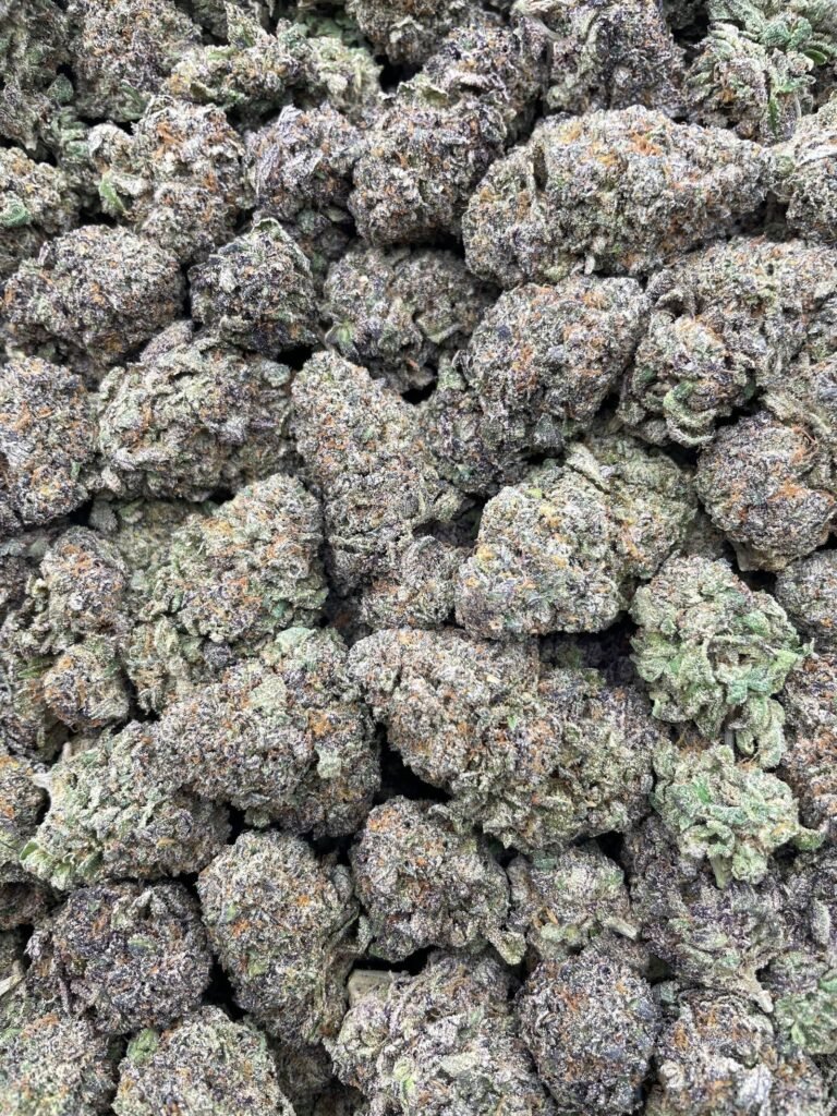 #D109A Pink Runtz ⛽️