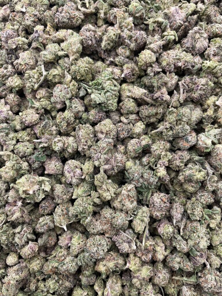 #D10B Cherry Jaw Droppers Smalls 🍒