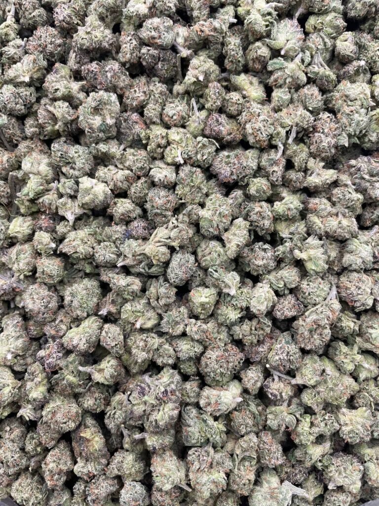 #D114A Mochi Berriez Smalls 🫐