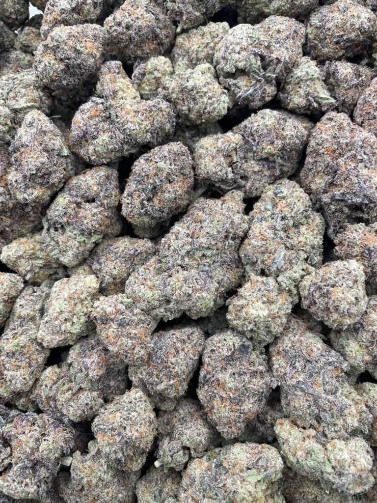 #D13C Alien Mac 👽