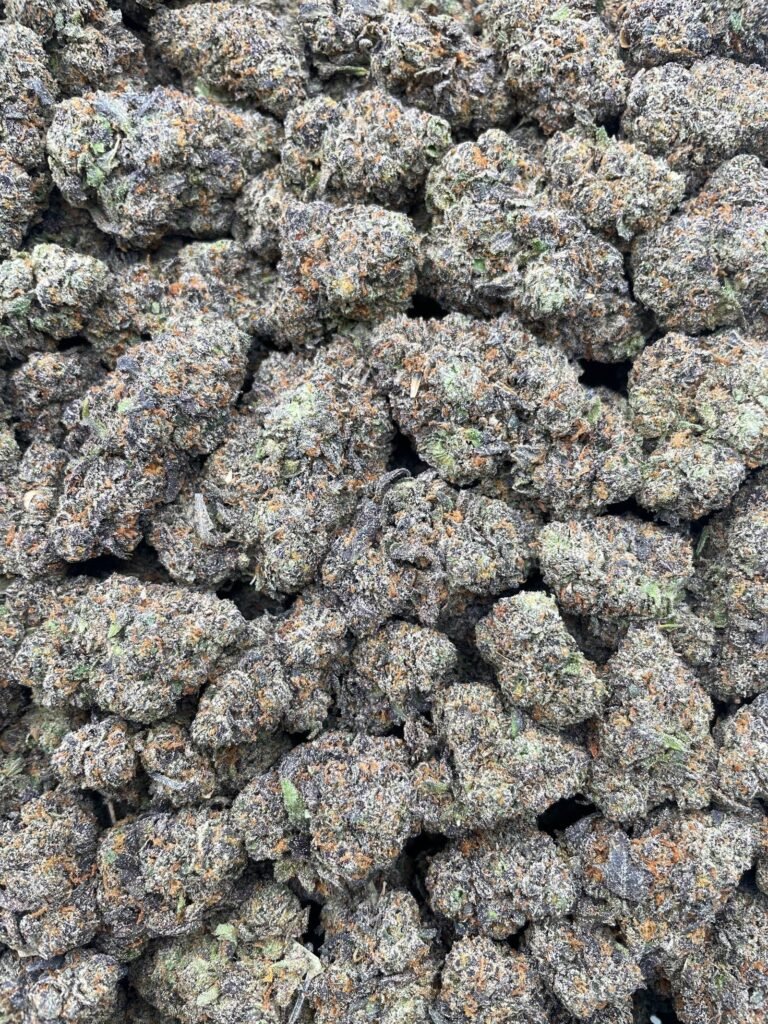 #D141C Galactic Candy Runtz 🍬