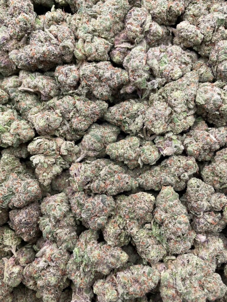 #D152A Gush Mintz ⛽️