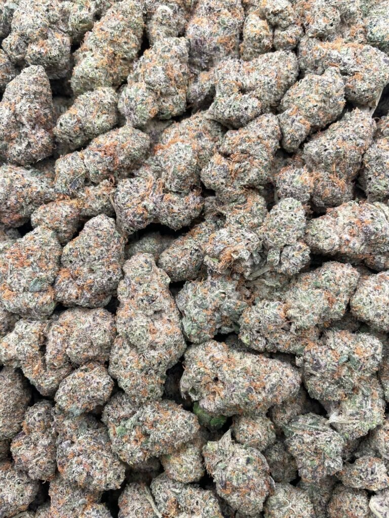 #D153C Toxic Candy 🍬