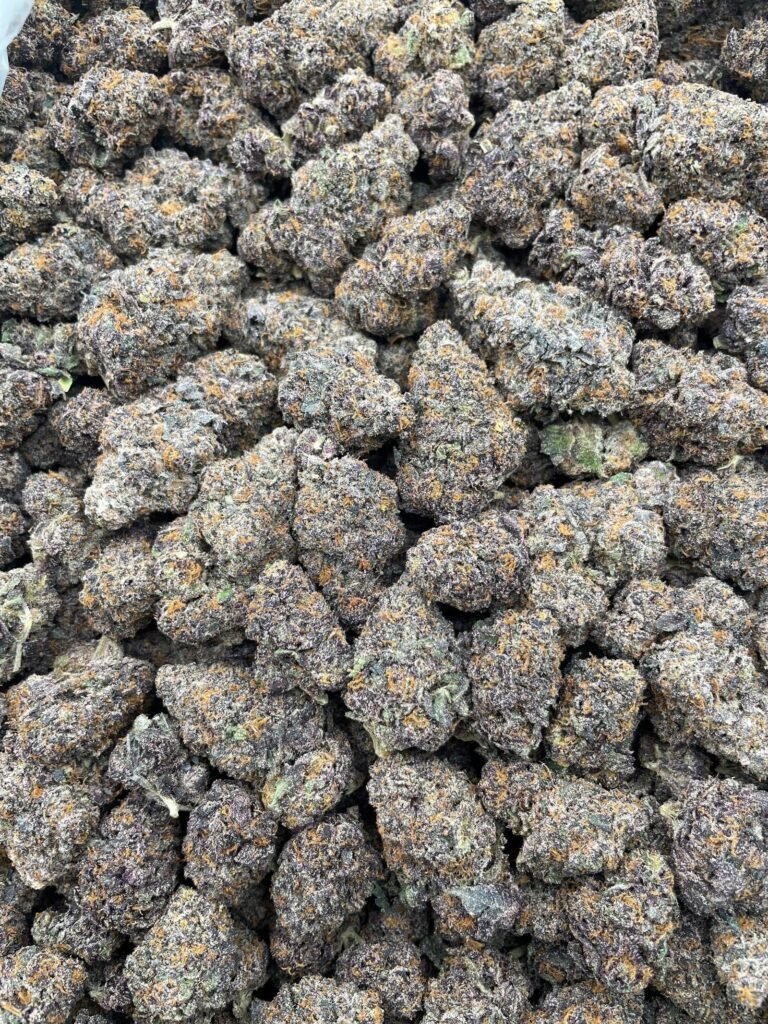 #D154C Tropicana Cherriez 🍒