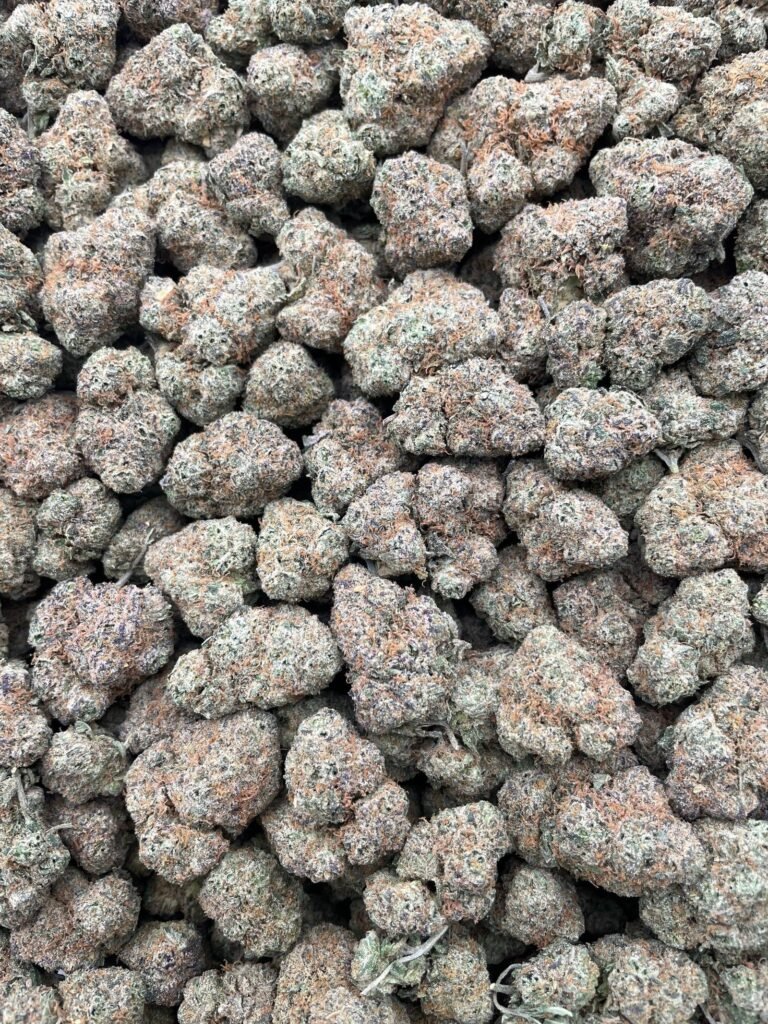 #D156B Zour Lemons 🍋