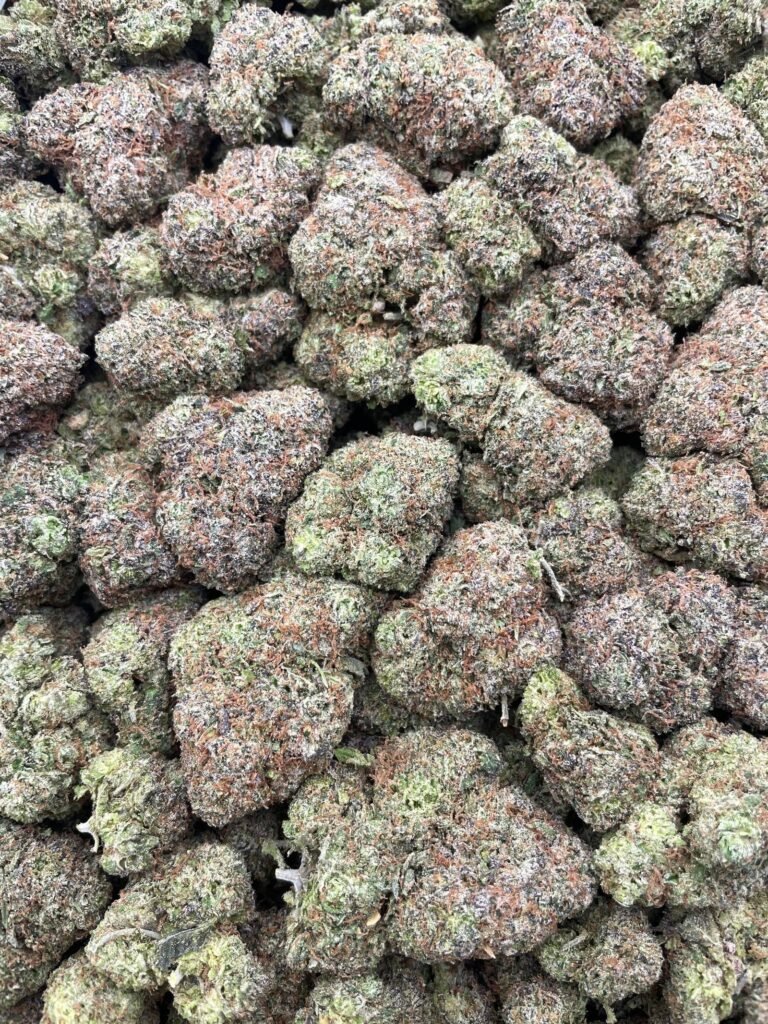 #D160C Blue Taffy 🍬