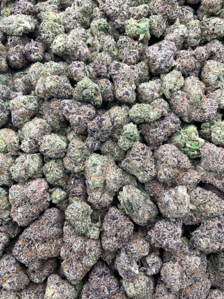 #D162A Sour Candy Dough 🍭