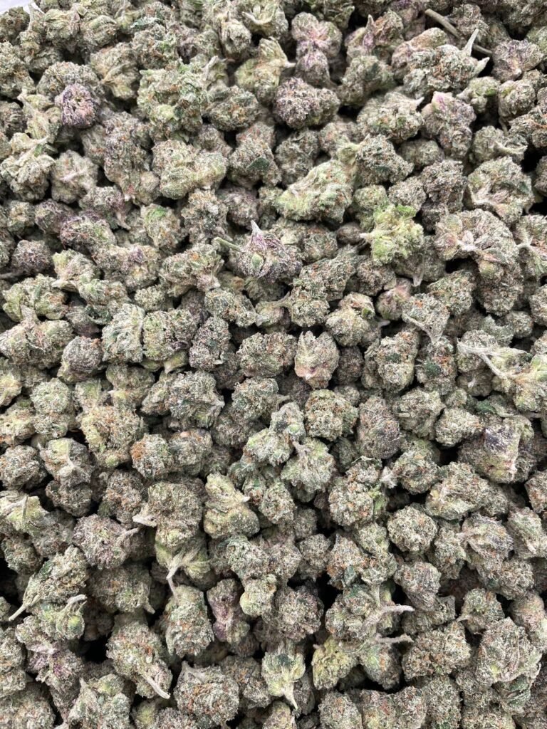 #D183B Mochi Berriez Smalls 🍡