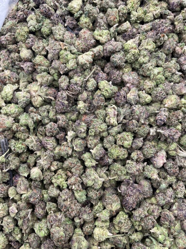 #D18A Lemon Freeze Bites Smalls 🍋