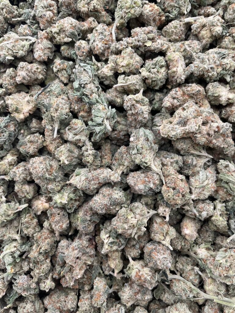 #D1A Lemon Warheads Smalls 🍋