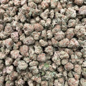 #D29C Fruit Punch Mac Smalls 🍉