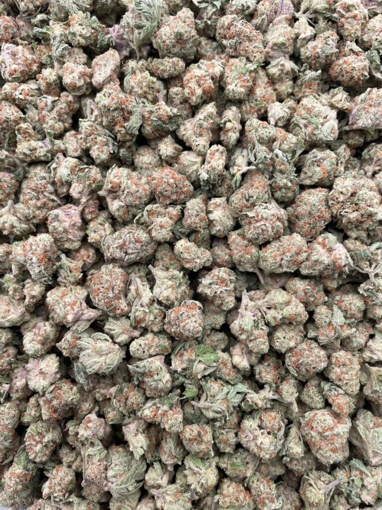 #D29C Fruit Punch Mac Smalls 🍉