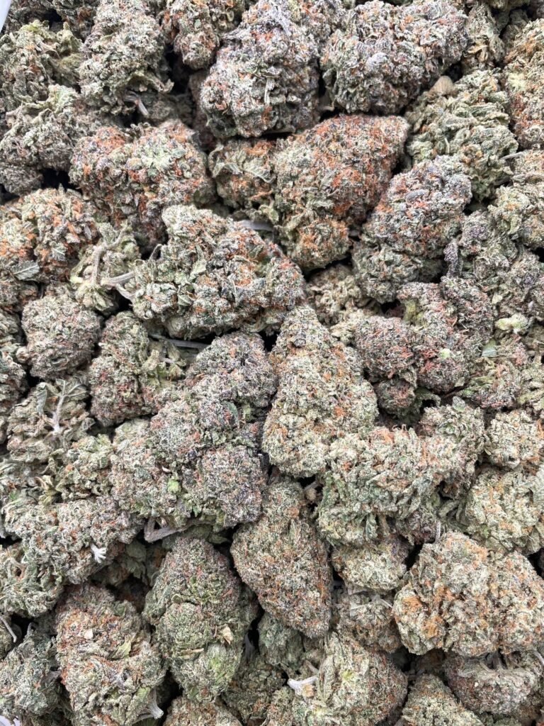 #D35A Cherry Nerdz 🍒