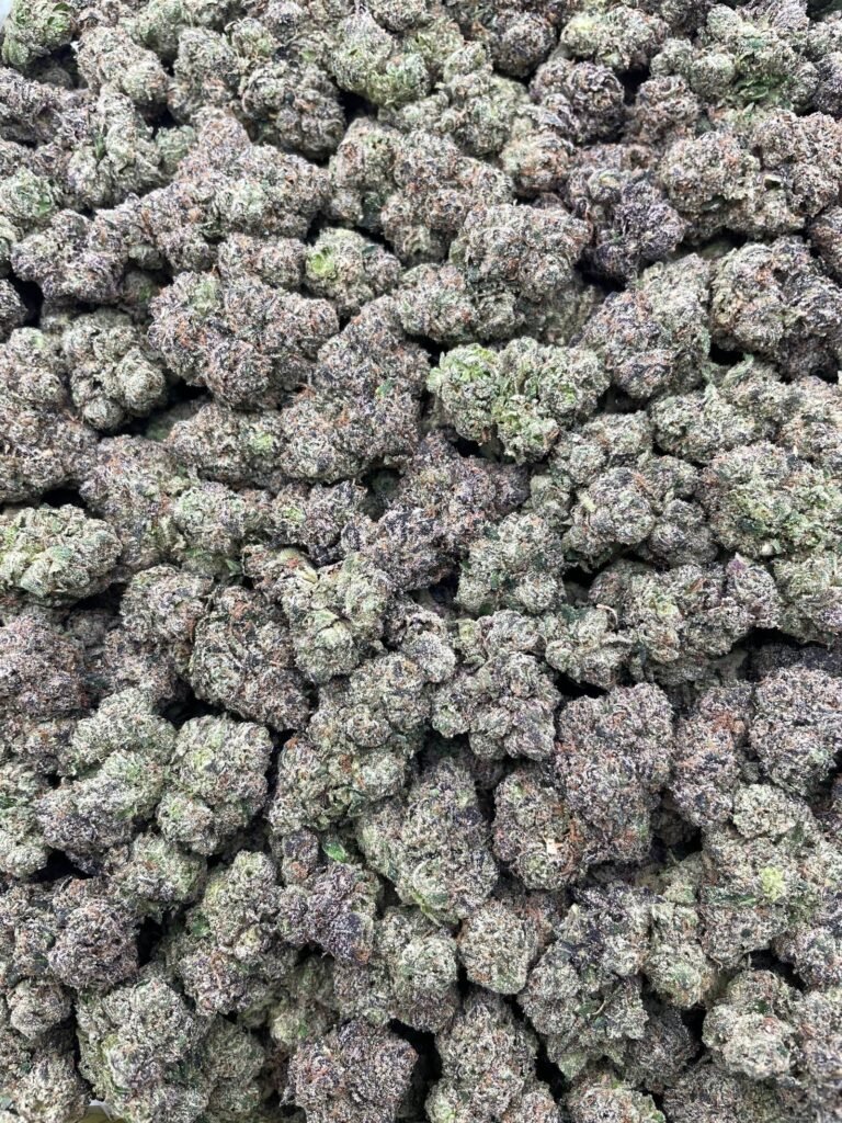 #D40C Lemon Cherry Grandpa 👴