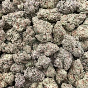 #D44B Sweet Chin Papaya 🍎