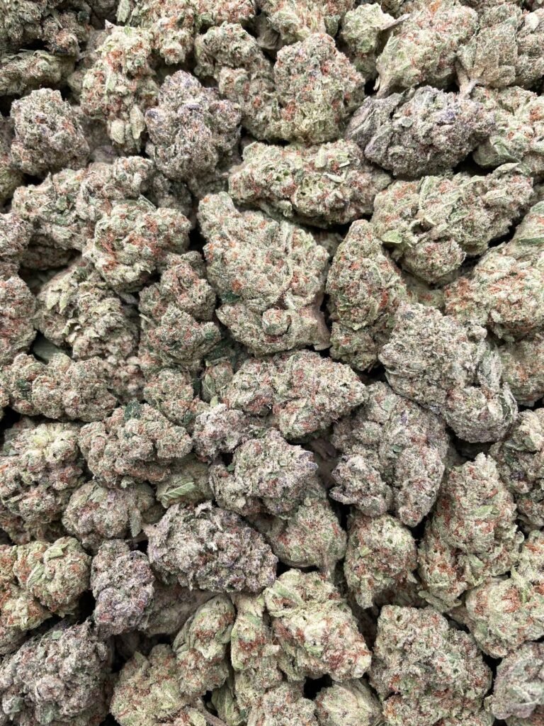 #D44B Sweet Chin Papaya 🍎