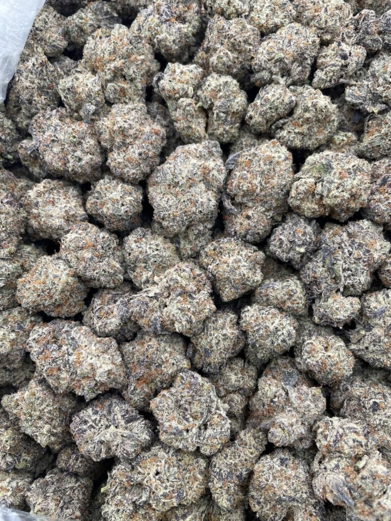 #D53C Oreo Milkshake 🍪