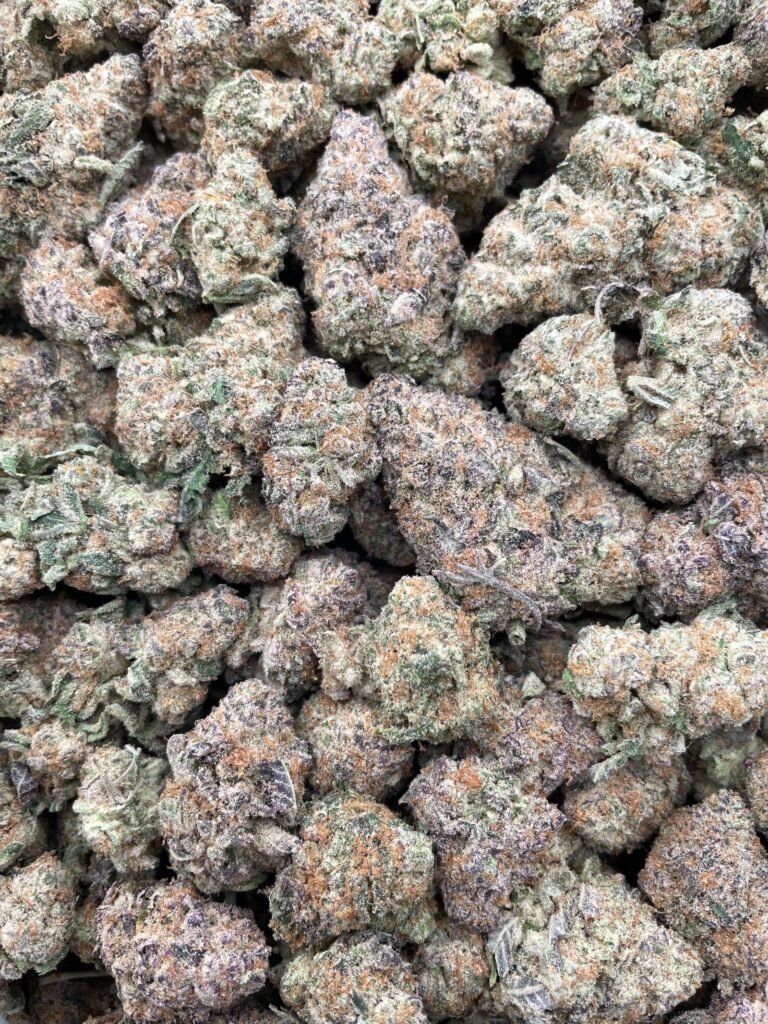 #D5C Miracle Alien Punch 👽