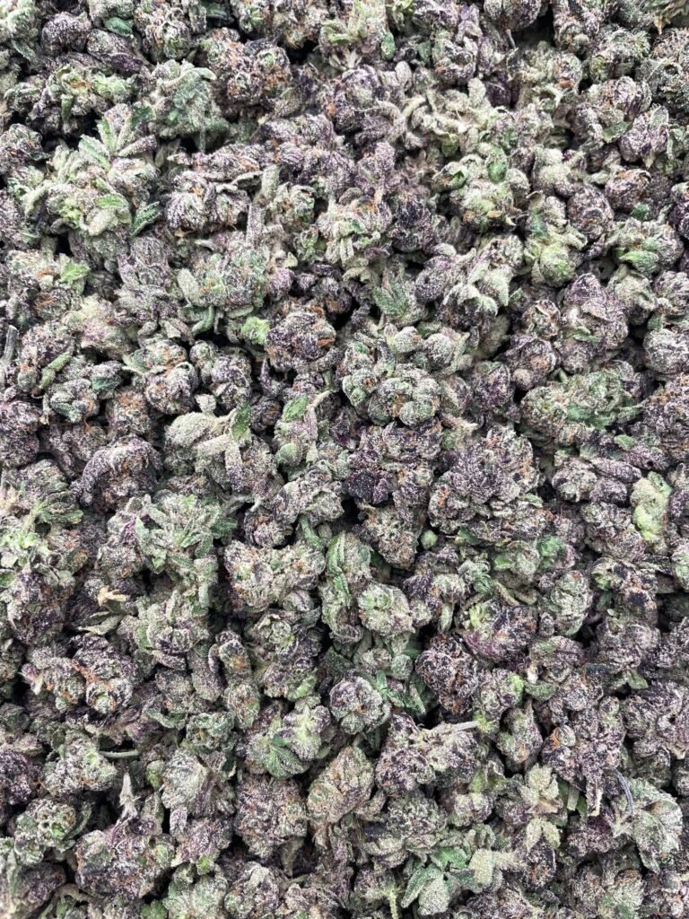 #D7A Passion Punch Bites Smalls 🍬