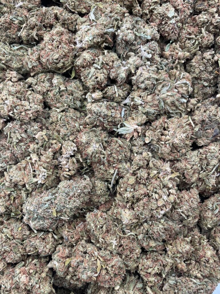 #D90C Lemon Jet Fuel ⛽️