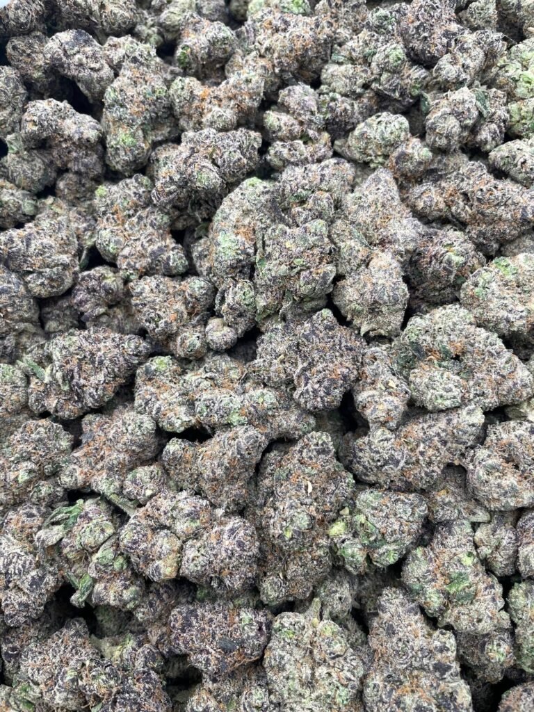 #D95B Lemon Candy Breath 🍋