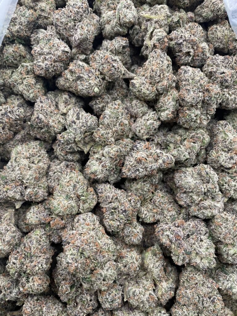 #DR22Y Sour Blast Bubble 💥