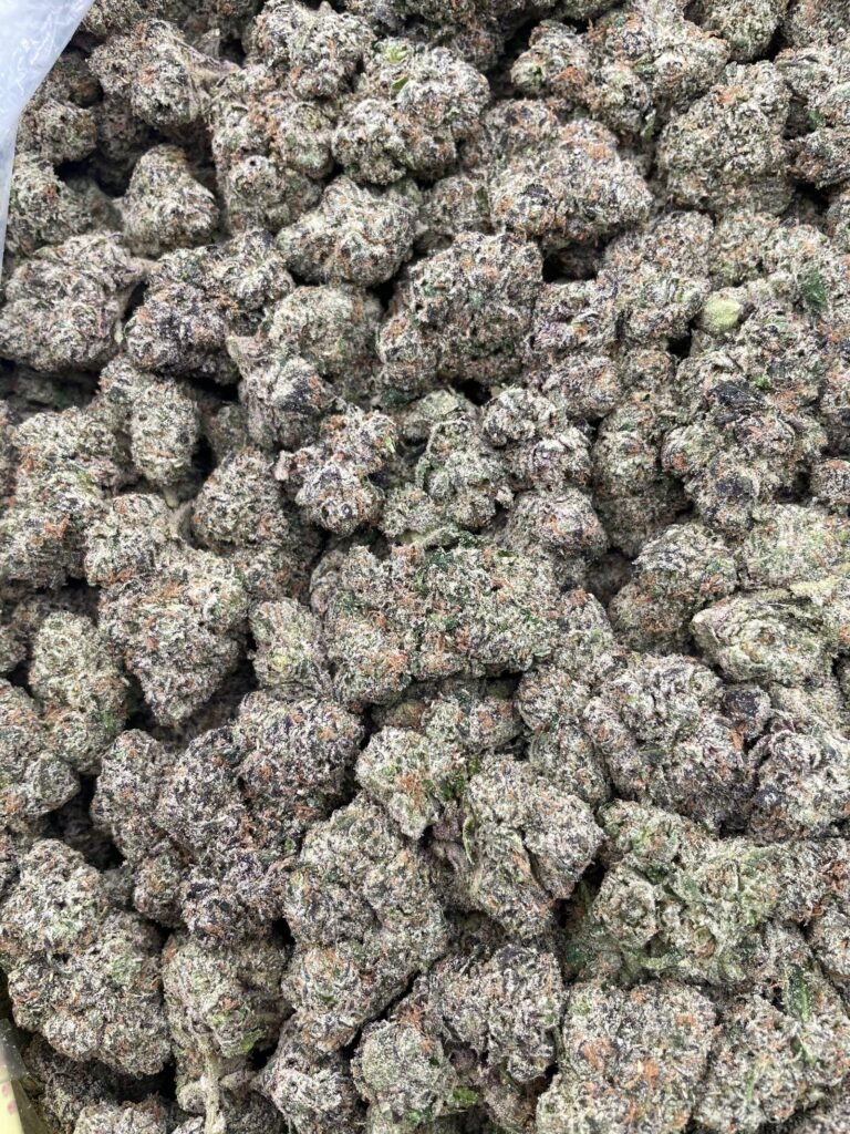 #DR45Y Electric Sours ⚡️