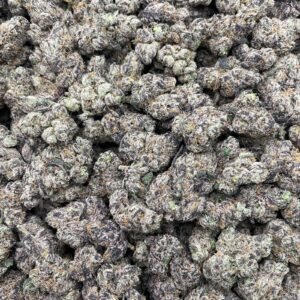 #DR67Y Lemon Tree Kush ⛽️