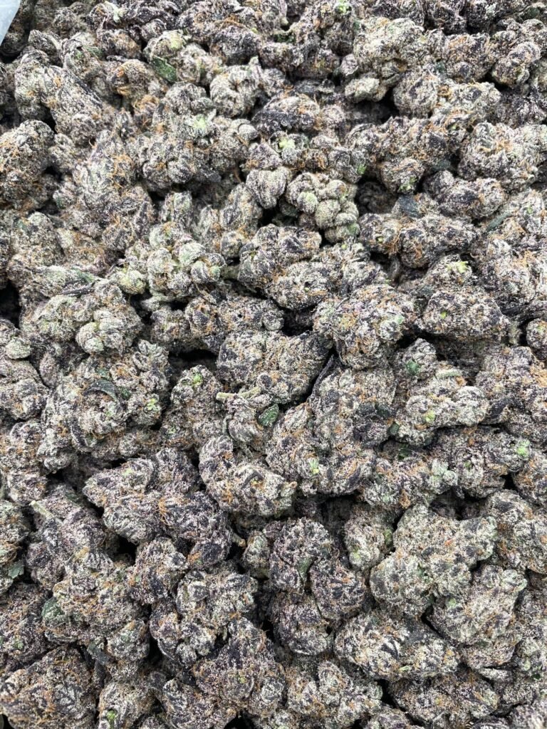 #DR67Y Lemon Tree Kush ⛽️