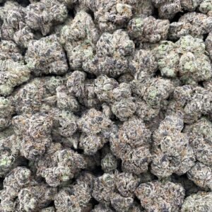 #DR69X Lemon Loud Mouth Bites 🫦