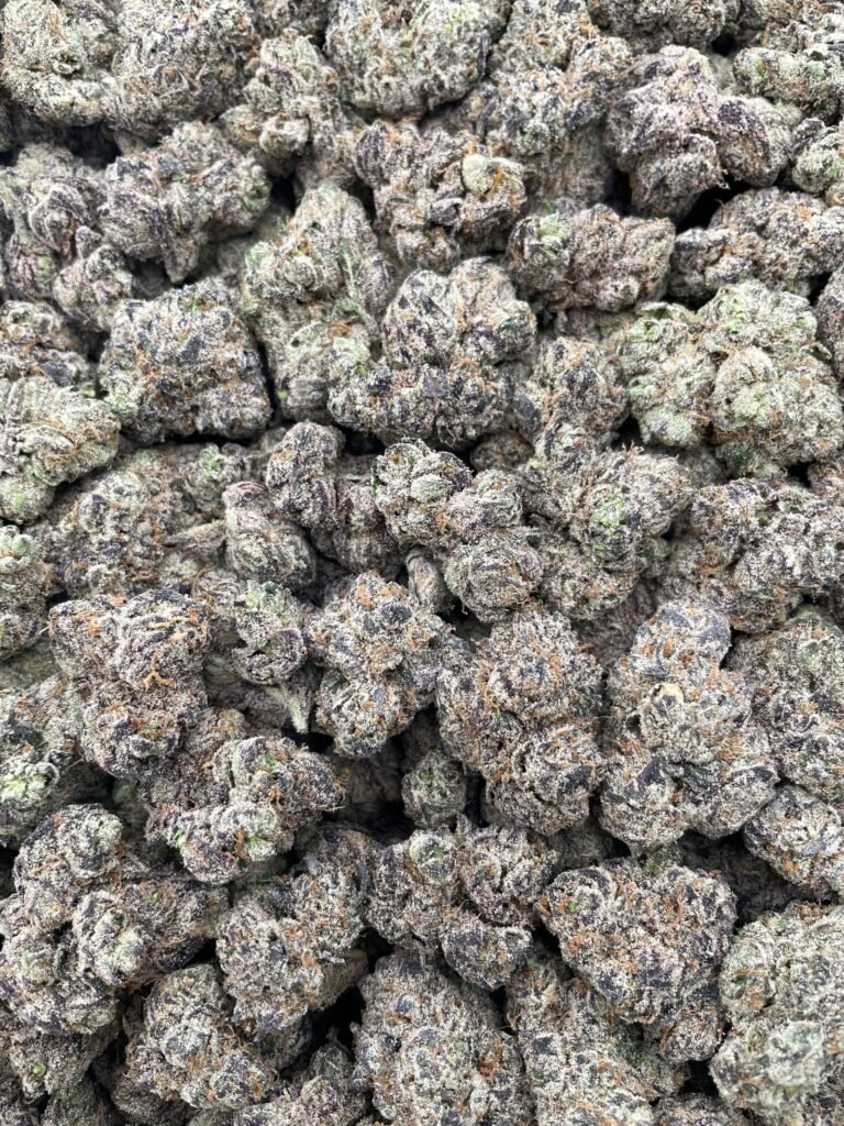 #DR69X Lemon Loud Mouth Bites 🫦