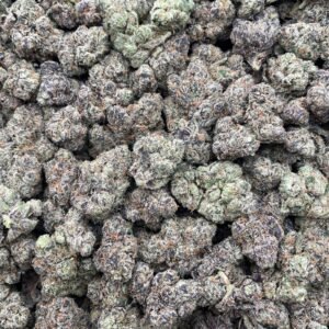 #DR73X Tropical Starburst 🌴