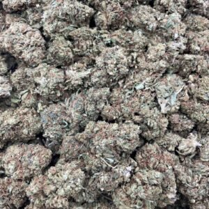 #DR81X Lemon Loud ⛽️