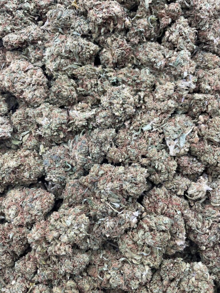 #DR81X Lemon Loud ⛽️