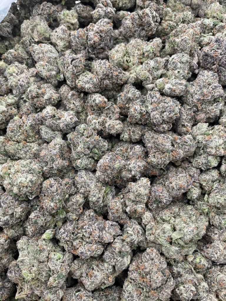 #PR41Y Sour Madness Crush 💀